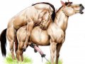 Gay_Horses.jpg